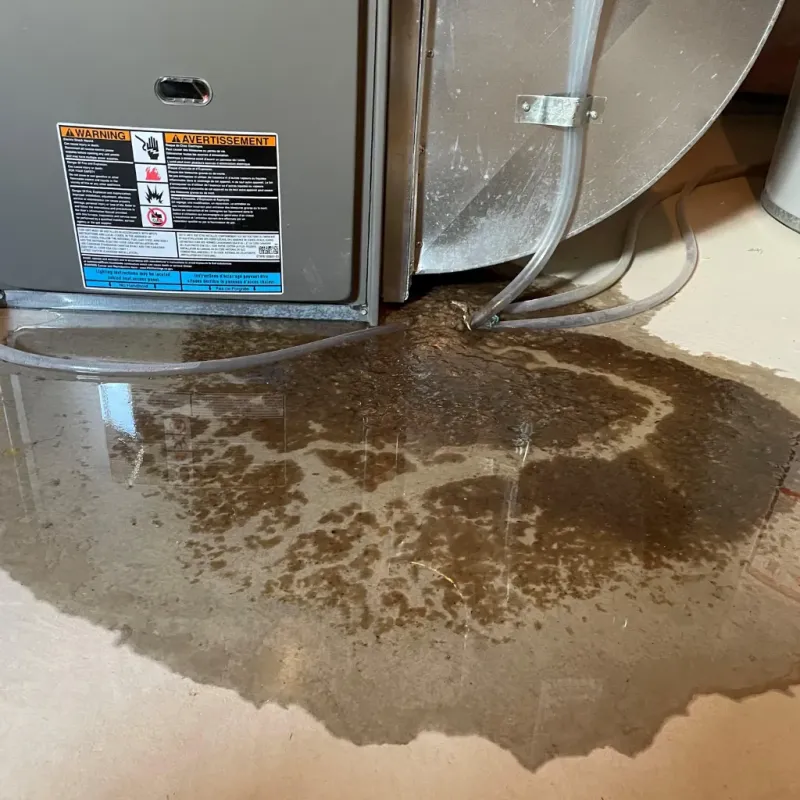 Appliance Leak Cleanup in Mohall, ND