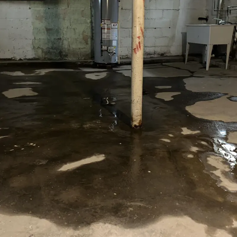 Emergency Water Extraction And Removal in Mohall, ND